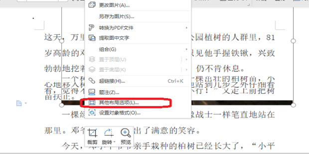 WPS图片显示不全？从根源到解决，看这一篇就够了